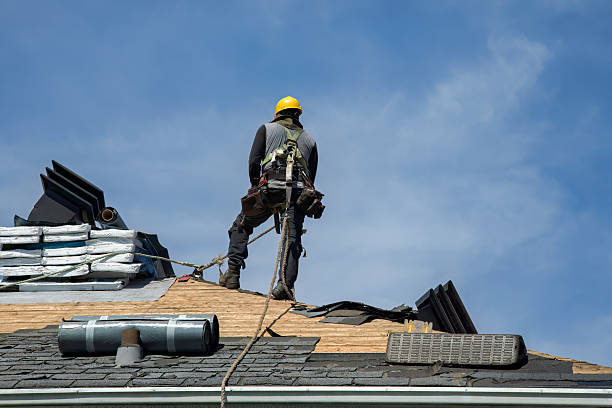 Professional Roof Replacement technician working in Lulu, FL